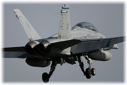 VMFA(AW)-225"Vikings"