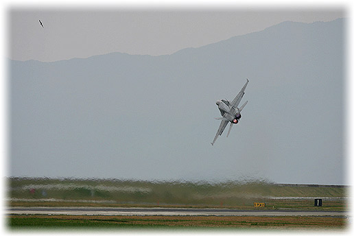 20080504_14.jpg
