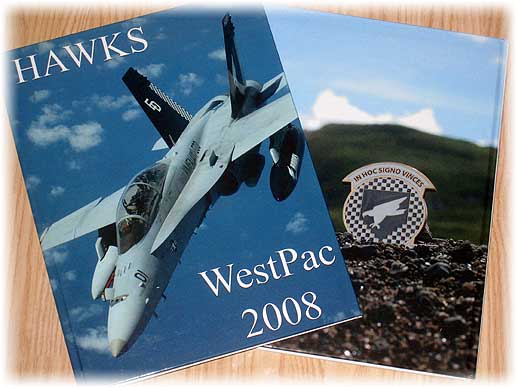 VMFA(AW)-533"Hawks"