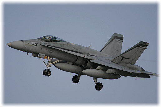 VFA-94"Mighty Shrikes"