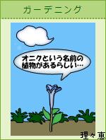 オニクという名前の植物があるらしい だんごむし 楽天ブログ