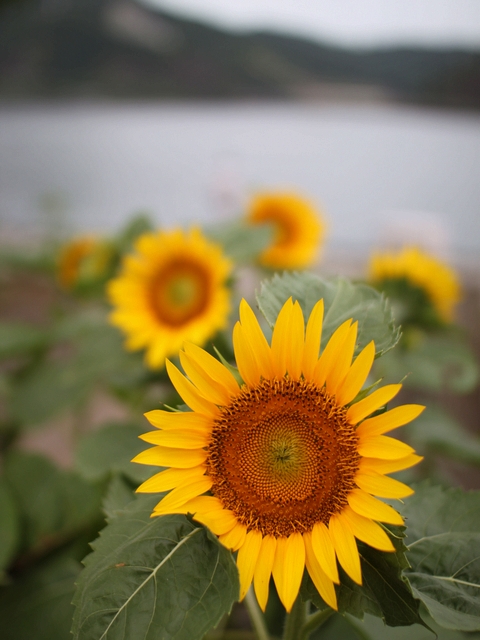 20100814-008.jpg
