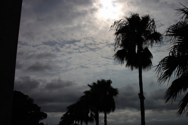 20100814-009.jpg
