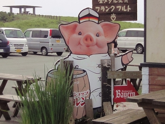 20100710-003.jpg