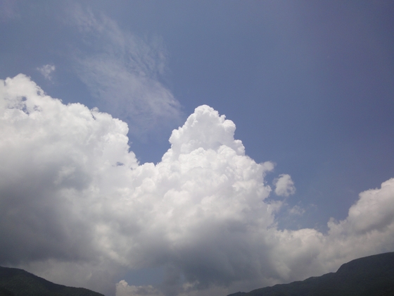 20100725-007.jpg