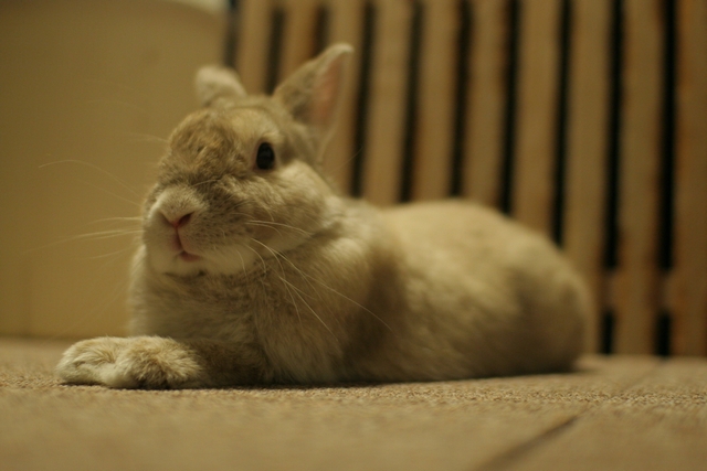 20100831-002.jpg