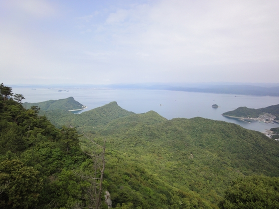 20100613-005.jpg