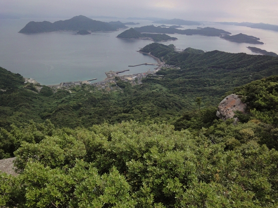20100613-007.jpg