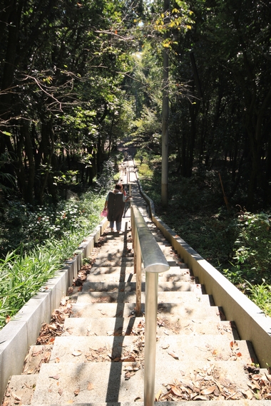 20100904-001.jpg