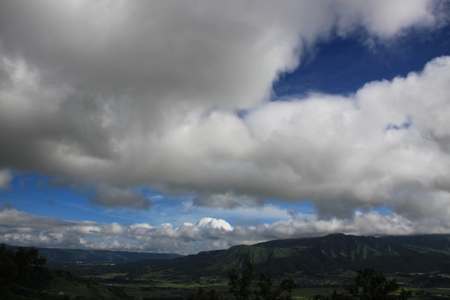 20100829-003.jpg