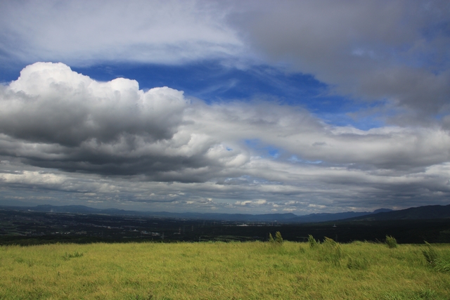 20100829-006.jpg