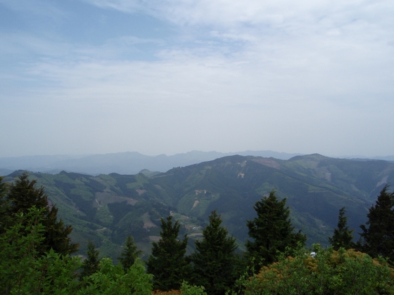 20100509-005.jpg