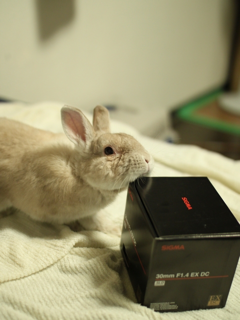 20100813-010.jpg