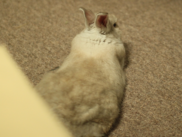 20100813-011.jpg