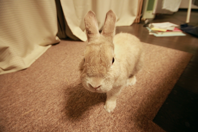 20100817-003.jpg