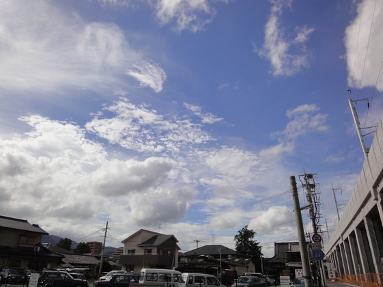 20100627-006.jpg