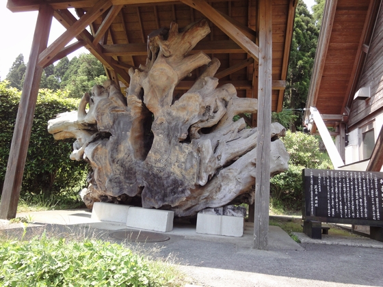 20100530-007.jpg