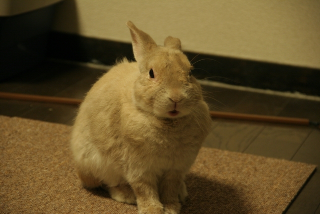 20100803-002.jpg
