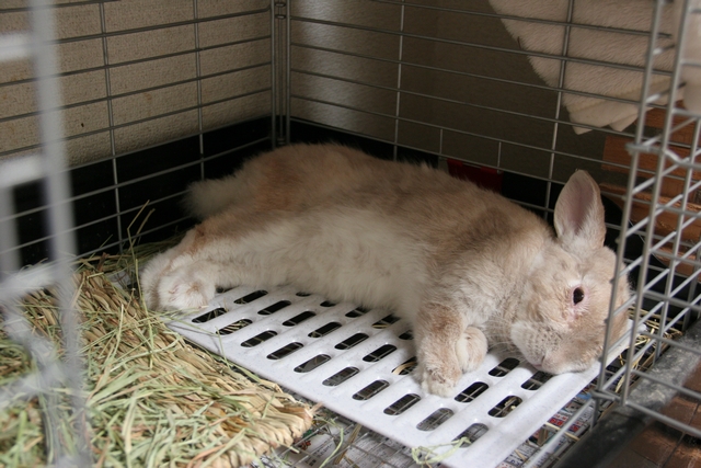 20100803-003.jpg