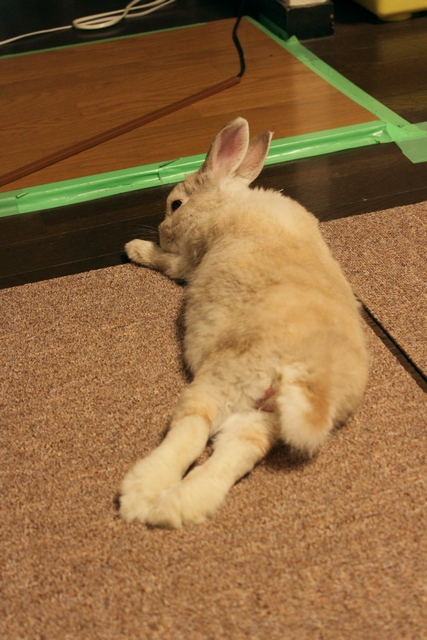 20100803-004.jpg