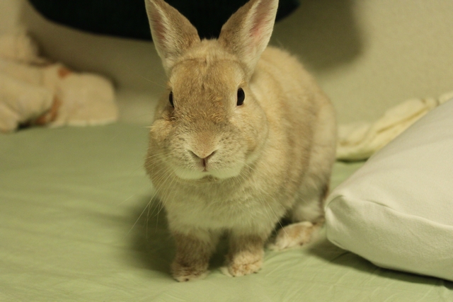 20100803-006.jpg