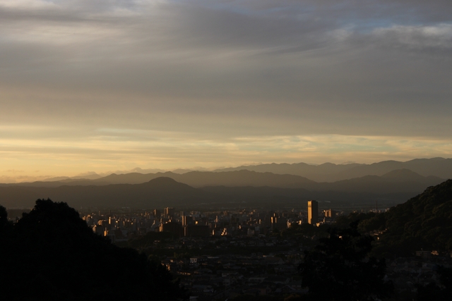 20100807-001.jpg