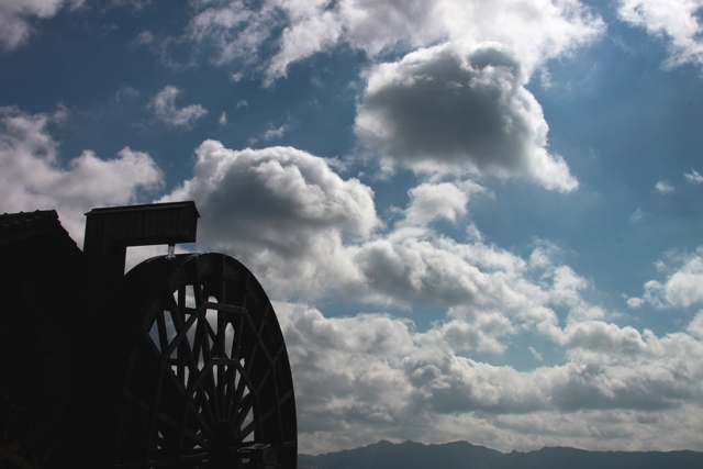 20100815-009.jpg