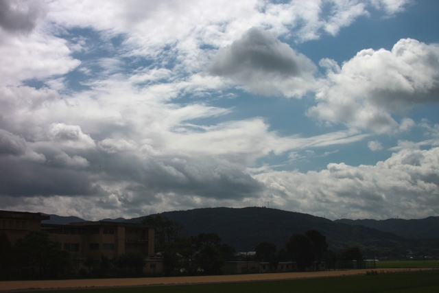 20100815-010.jpg