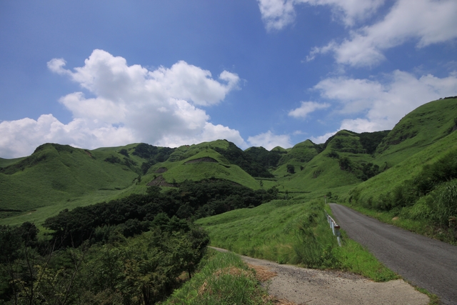 20100822-008.jpg