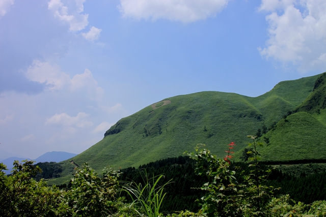 20100822-009.jpg