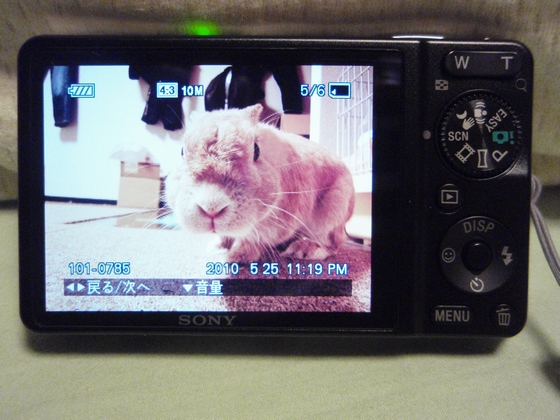 20100525-002.jpg