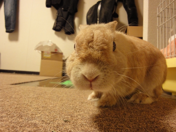 20100525-003.jpg