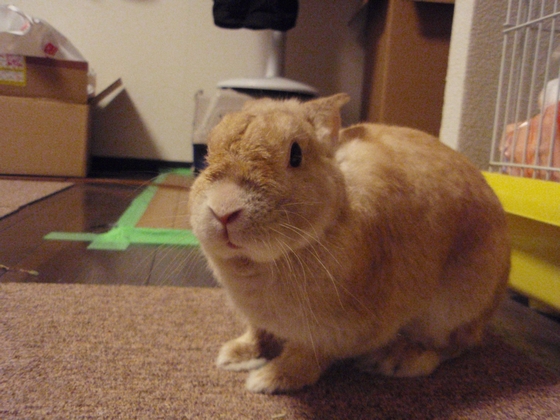 20100525-004.jpg