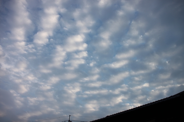 20100814-002.jpg