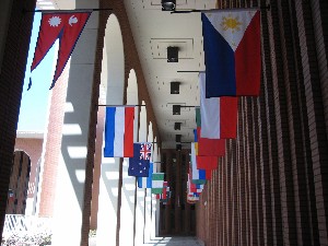 USC VKC flags