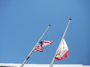 Ted Kennedy half flag