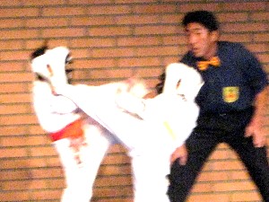 Kyokushinkan Karate