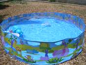 poolyd