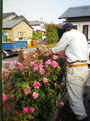 DSCF0144.bara.jpg