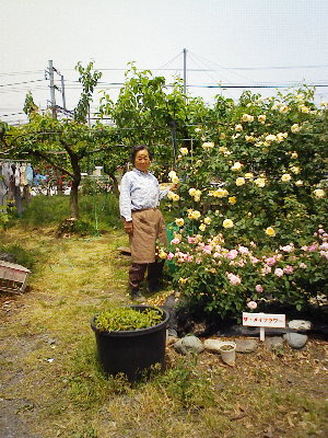 DSCF0124.bara.jpg