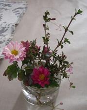 秋の紫丁花.jpg