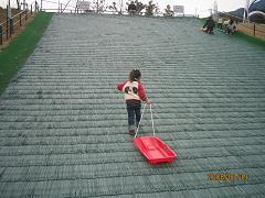 IMG_3393.JPG