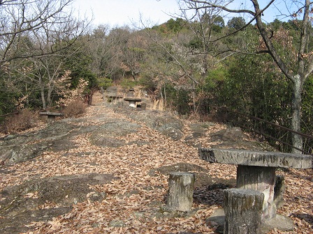 冬は超低山徘徊 関の安桜山と寺社めぐり Kikiの山行き 山と山の花 楽天ブログ