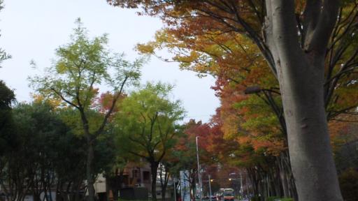 2010-11-13 15:13:08