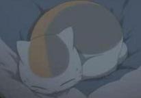 nyanko7s.JPG