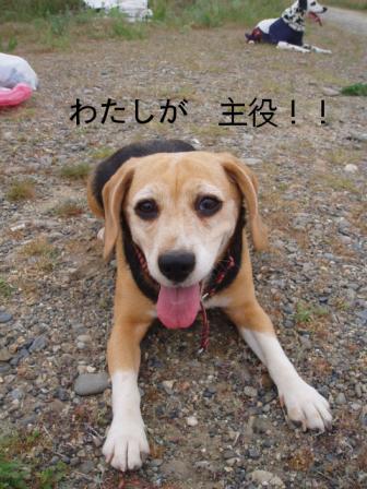 みかん
