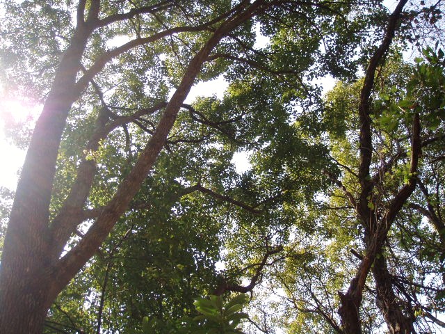 001.JPG