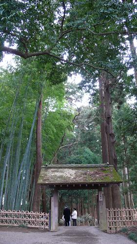 一の木戸と孟宗竹林