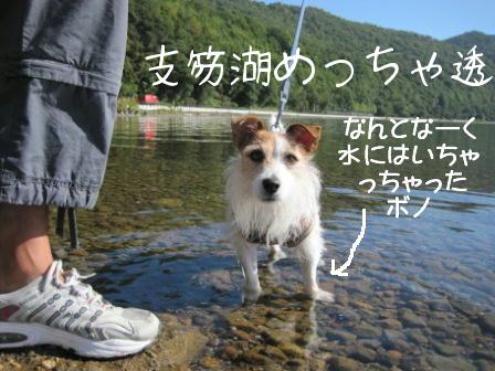 支笏湖を覗いてみようか 水中観光船へ 北海道生活のススメ 楽天ブログ