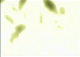 コードギアス反逆のルルーシュR2　000011.JPG